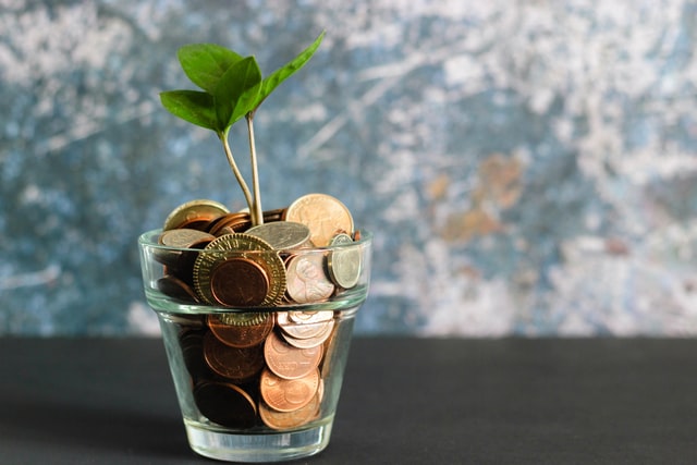 Photo of a plant growing out of a glass of money